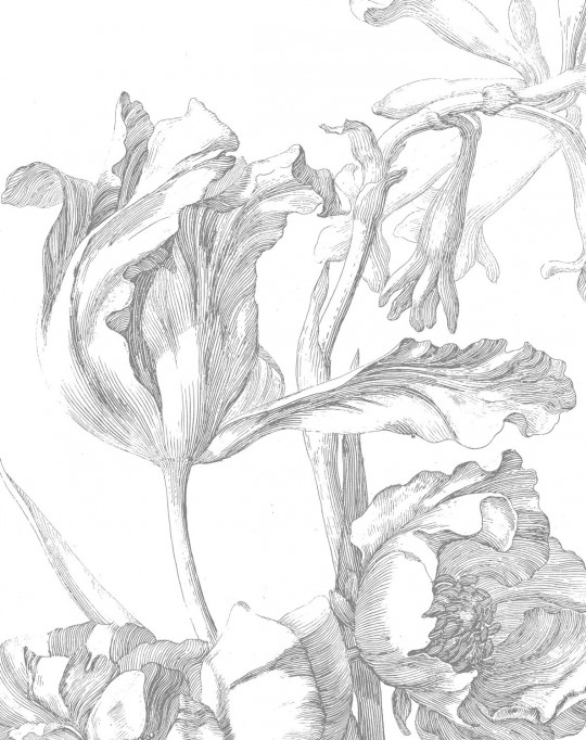 KEK Amsterdam Papier peint panoramique Engraved Flowers 4 - XS