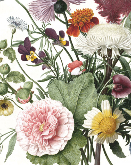 KEK Amsterdam Wandbild Wild Flowers 1 - XS