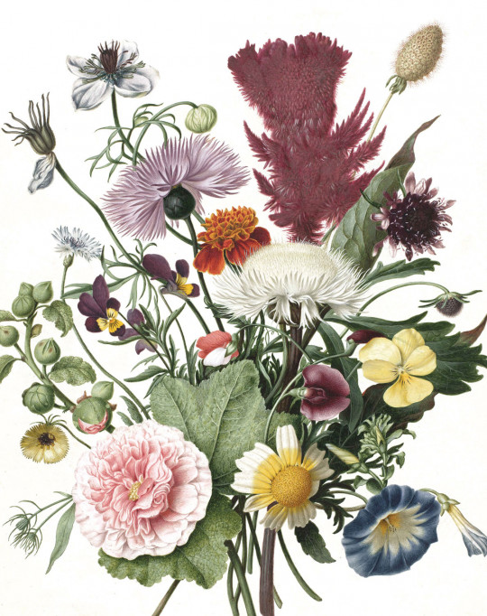 KEK Amsterdam Mural Wild Flowers 1