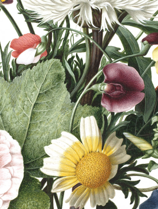 KEK Amsterdam Wandbild Wild Flowers Circle - M - 1.9m