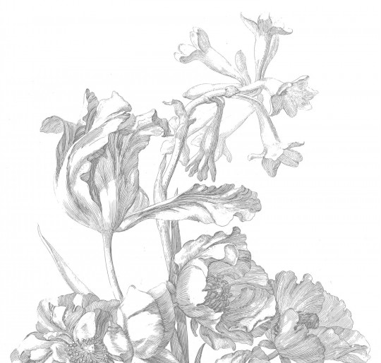 KEK Amsterdam Mural Engraved Flowers 6