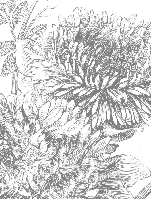 KEK Amsterdam Wandbild Engraved Flowers 2 - L