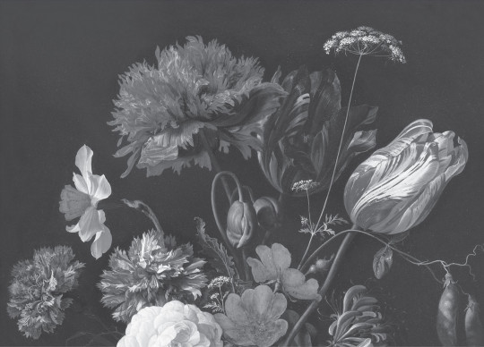 KEK Amsterdam Mural Golden Age Flowers 11