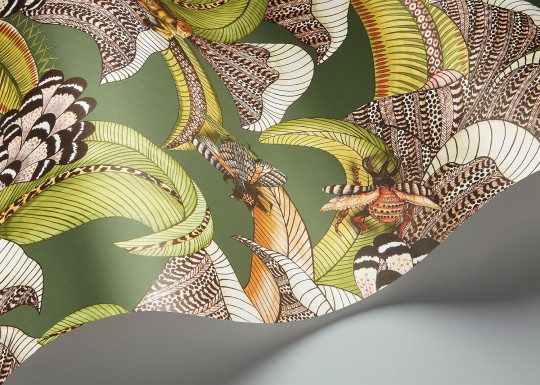 Cole & Son Wallpaper Hoopoe Leaves - 119/1003