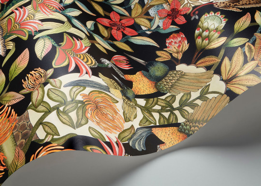 Cole & Son Wallpaper Protea Garden