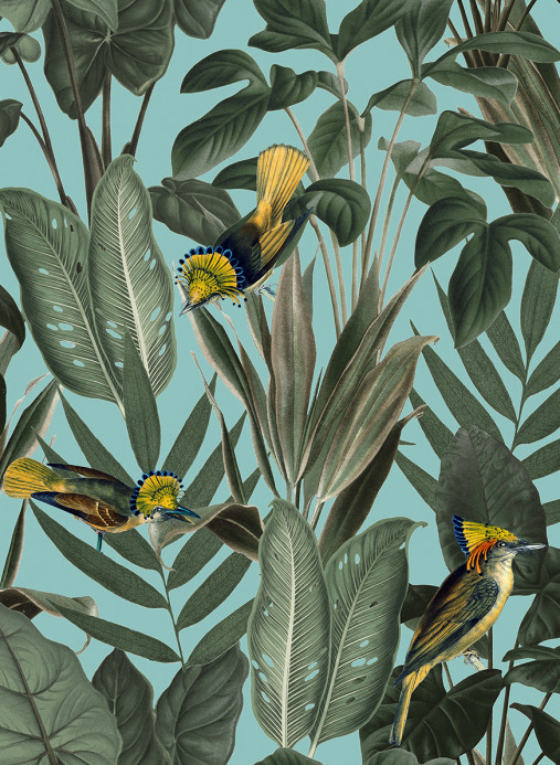 Rebel Walls Papier peint Birds of Paradise - Lush Green