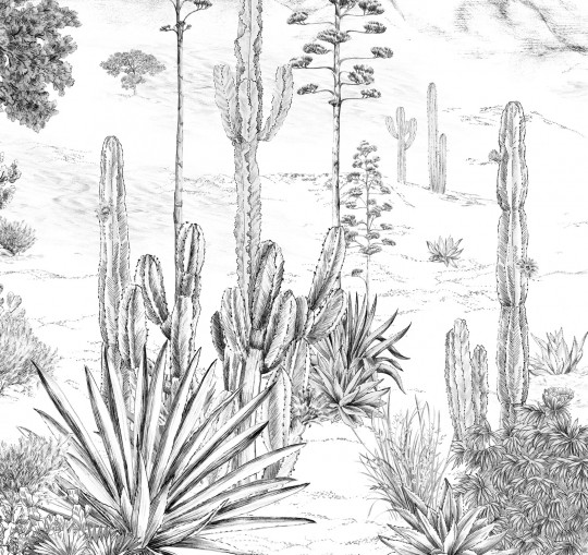 Isidore Leroy Carta da parati panoramica Succulentes Grisaille