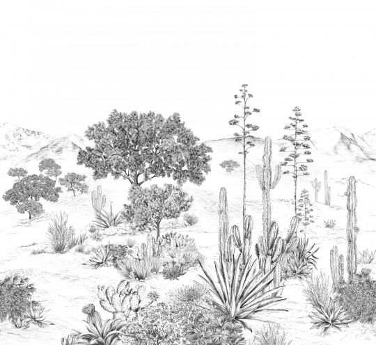 Isidore Leroy Mural Succulentes Grisaille