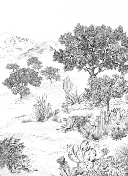 Isidore Leroy Papier peint panoramique Succulentes Grisaille