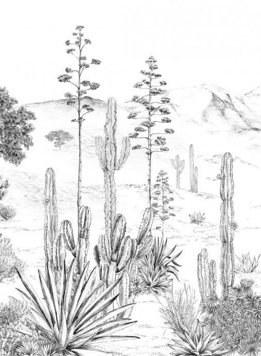 Isidore Leroy Papier peint panoramique Succulentes Grisaille - Panel B