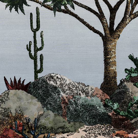 Nobilis Papier peint panoramique Yucca