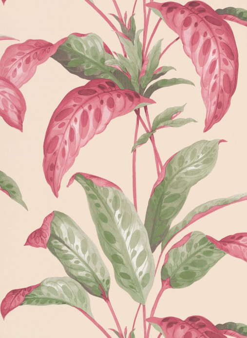 Florale Tapete Tropicane von Paint & Paper - Rhubarb