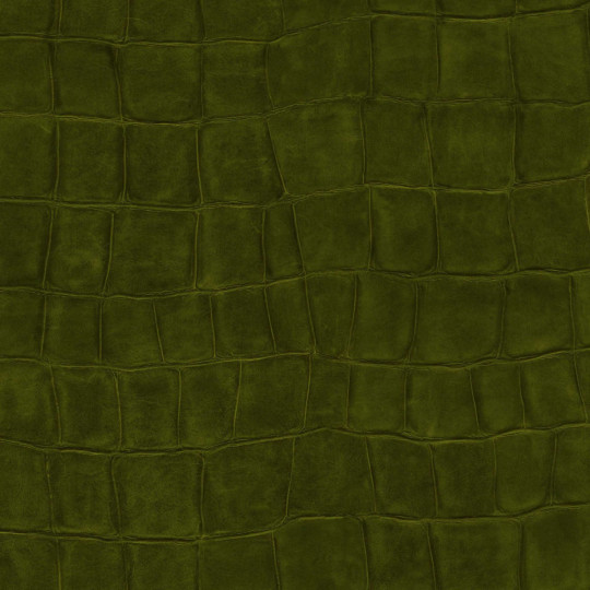 Élitis Papier peint Big Croco - VP 423 30