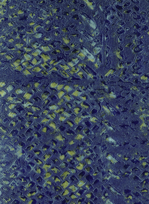 Élitis Papier peint Laca Salvaje - Blau/ Gold