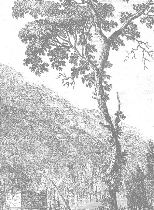 Wandbild Engraved Landscapes 1 von KEK - 3.896m Breite
