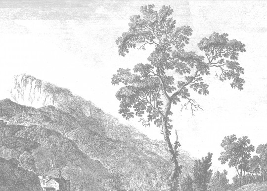 Wandbild Engraved Landscapes 1 von KEK - 3.896m Breite