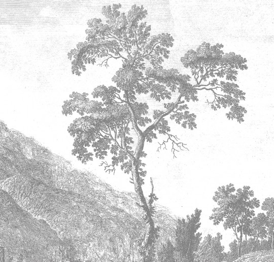 Wandbild Engraved Landscapes 1 von KEK - 2.92m Breite