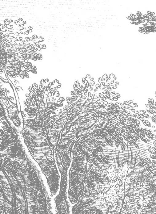 Wandbild Engraved Landscapes 3 von KEK - 1.948m Breite
