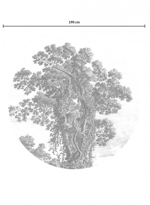 KEK Amsterdam Carta da parati panoramica Engraved Tree Circle - BW - Durchmesser 1,425m