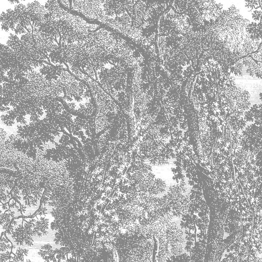 KEK Amsterdam Papier peint panoramique Engraved Tree Circle - BW - Durchmesser 1,425m