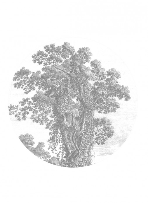 KEK Amsterdam Carta da parati panoramica Engraved Tree Circle - BW - Durchmesser 1,425m