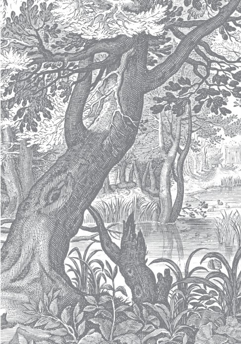 Panorama-Tapete Engraved Landscapes 4 KEK - 1.948m Breite