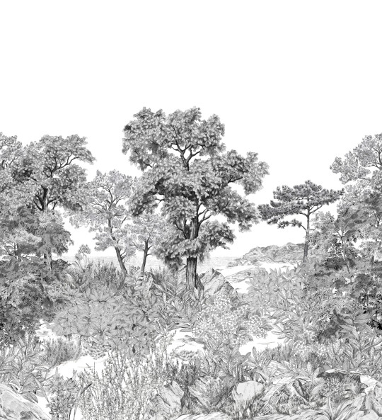 Isidore Leroy Mural Foret de Bretagne Grisaille