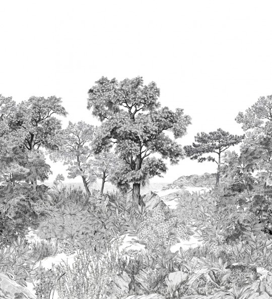 Isidore Leroy Papier peint panoramique Foret de Bretagne Grisaille
