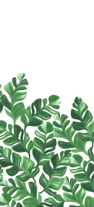 Tapete Pacifico XL Vert von Isidore Leroy A – 1/2/3