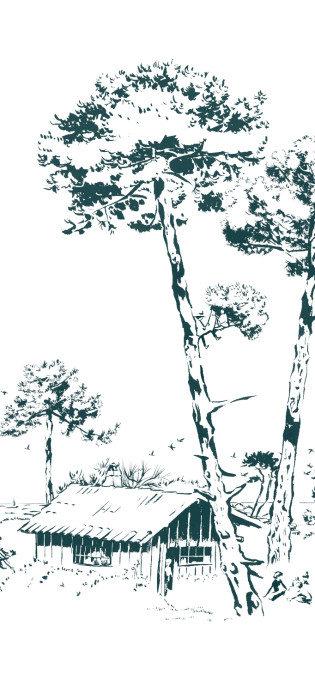 Tapete Les Pins Vert von Isidore Leroy B – 4/5/6