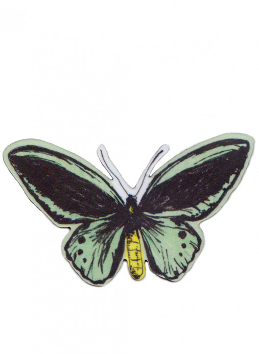 Sian Zeng Magnet Green Butterfly