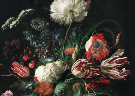 KEK Amsterdam Wandbild Golden Age Flowers 2 - 3.896m