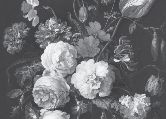 KEK Amsterdam Mural Golden Age Flowers 6