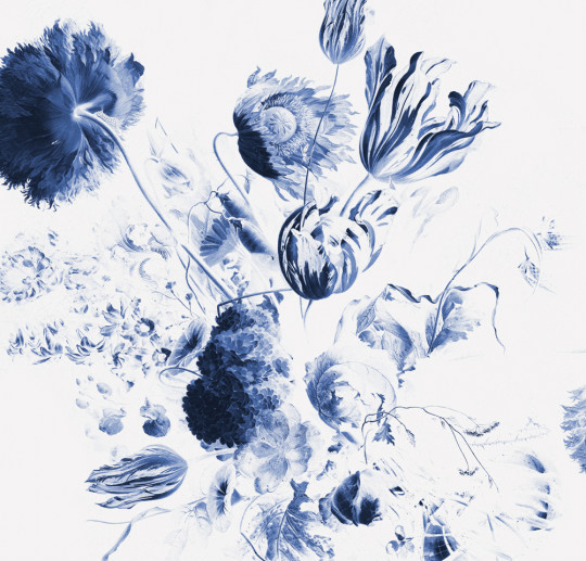 KEK Amsterdam Wandbild Royal Blue Flowers 2 - 2.922m