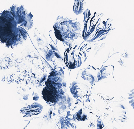 KEK Amsterdam Papier peint panoramique Royal Blue Flowers 2 - Multicolor - 2.922m