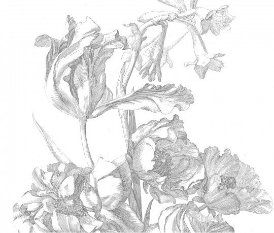 KEK Amsterdam Wandbild Engraved Flowers 1 - 3.896m