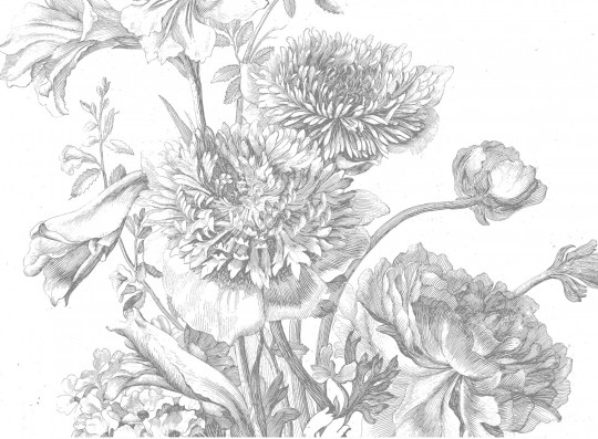 KEK Amsterdam Mural Engraved Flowers 3