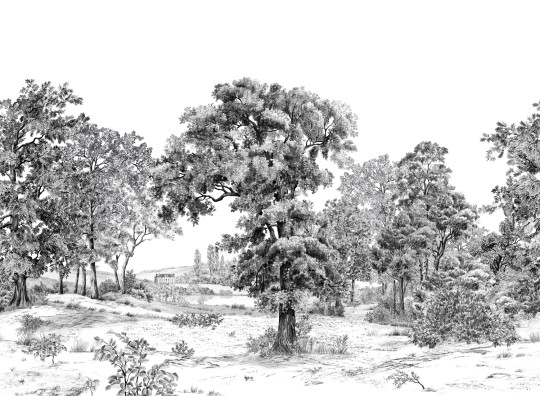 Isidore Leroy Papier peint panoramique Domaniale