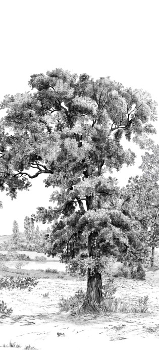 Isidore Leroy Papier peint panoramique Domaniale - Panel B
