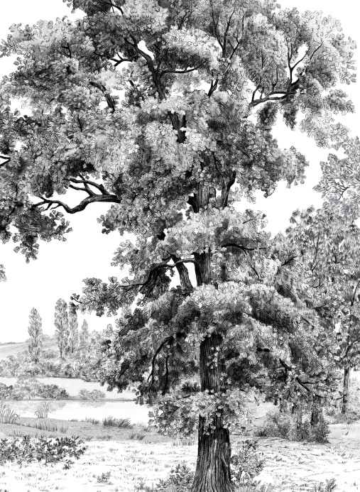 Isidore Leroy Papier peint panoramique Domaniale - Panel B