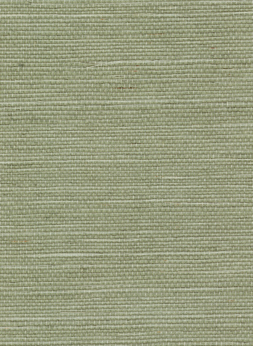 CMO Paris Wallpaper Sisal - Amande