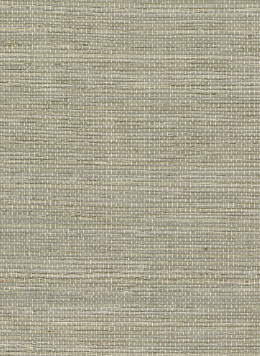 CMO Paris Wallpaper Sisal - Argent