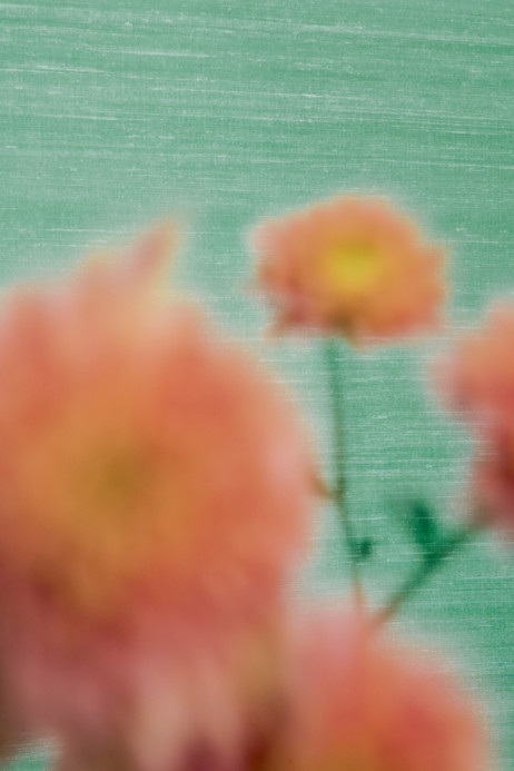 Elitis Tapete Kosa Silk