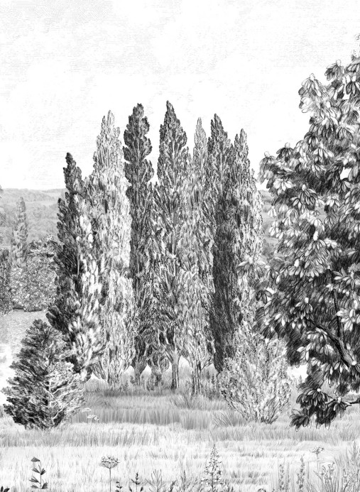 Isidore Leroy Papier peint panoramique Campagne Grisaille - B