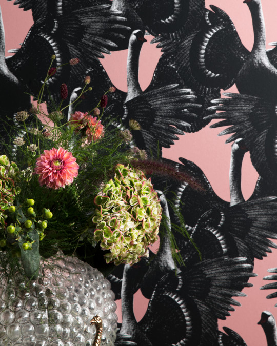 Studio Lisa Bengtsson Papier peint Swan Lake