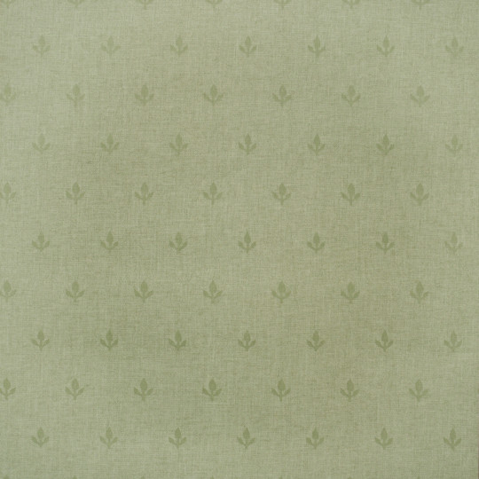 Andrew Martin Wallpaper Crocus - Leaf