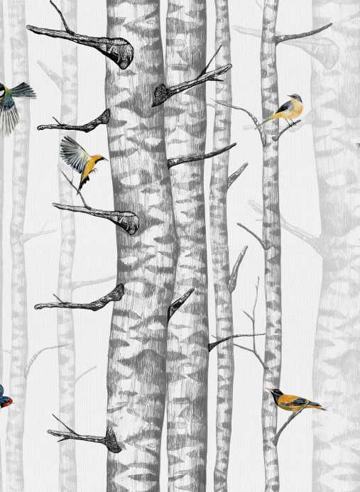 Coordonne Papier peint Birch Trees - Grey