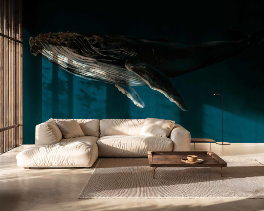 Coordonne Wandbild Humpback Whale - Ocean