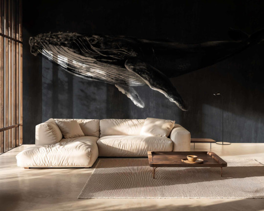 Coordonne Wandbild Humpback Whale - Night