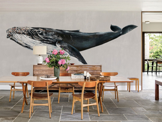 Coordonne Carta da parati panoramica Humpback Whale - Grey